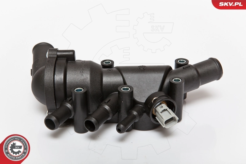 Thermostat, coolant